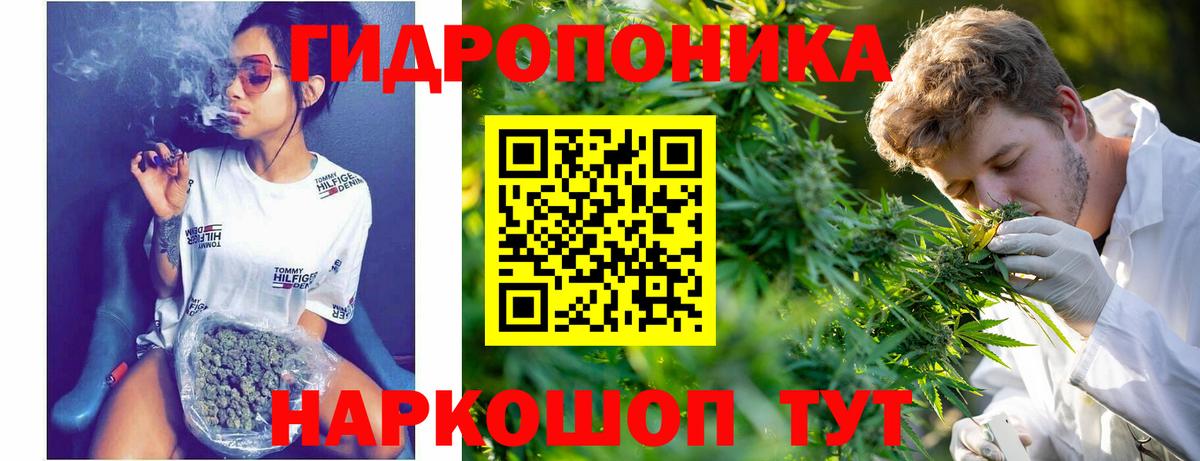 МАРИХУАНА ГИДРОПОН Каменск-Шахтинский